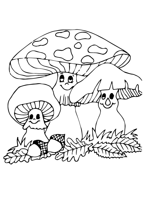 pilz-ausmalbild-0021-q2