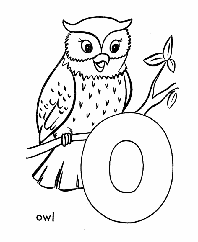 eule-ausmalbild-0080-q1