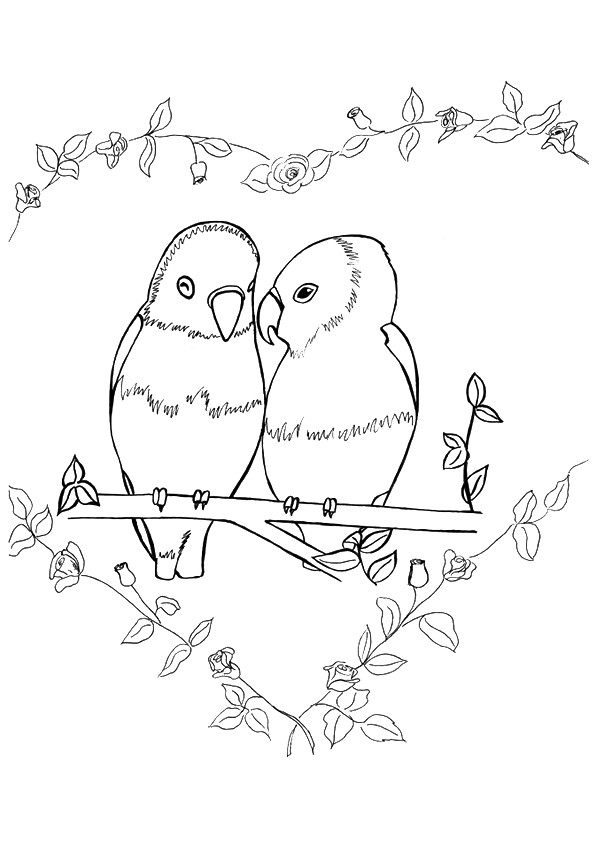 papagei-ausmalbild-0044-q2