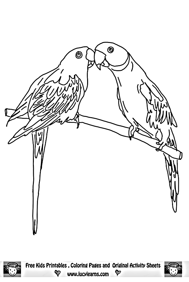 papagei-ausmalbild-0064-q1