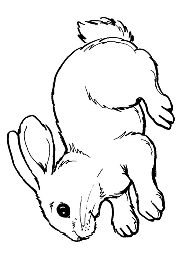 hase-ausmalbild-0019-q2