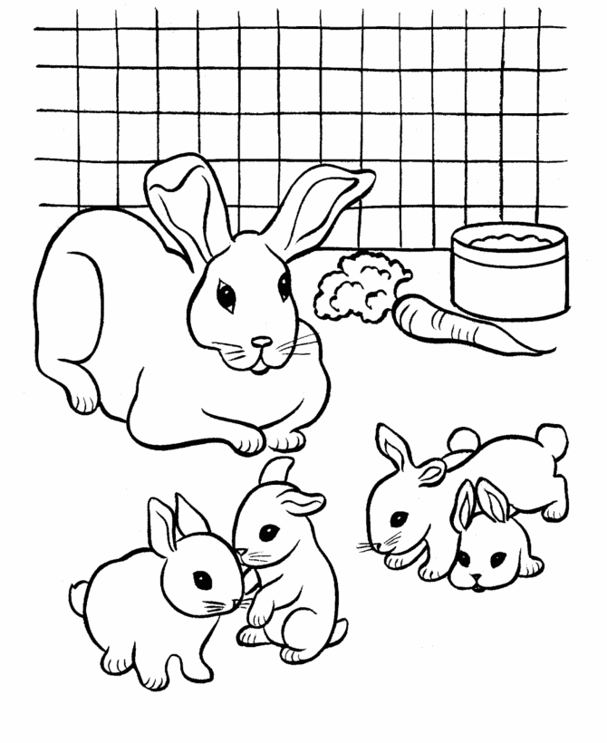 hase-ausmalbild-0068-q1