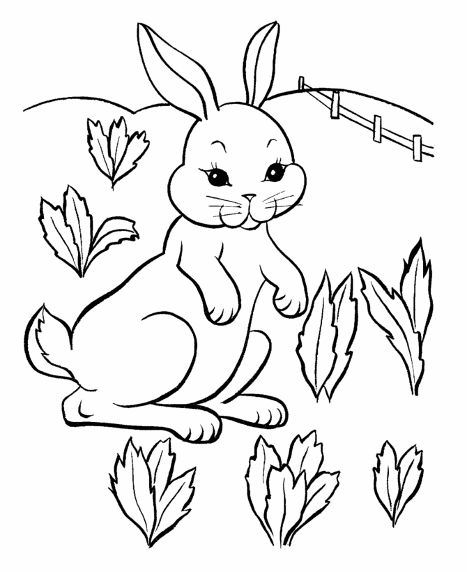 hase-ausmalbild-0073-q1