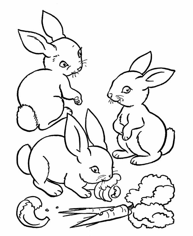 hase-ausmalbild-0076-q1