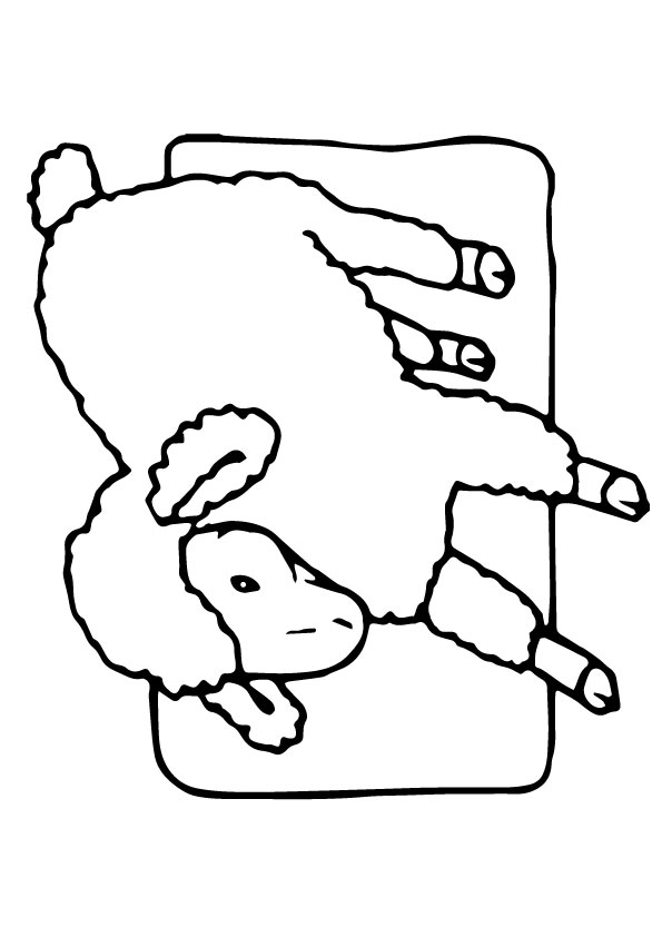 schaf-ausmalbild-0056-q2