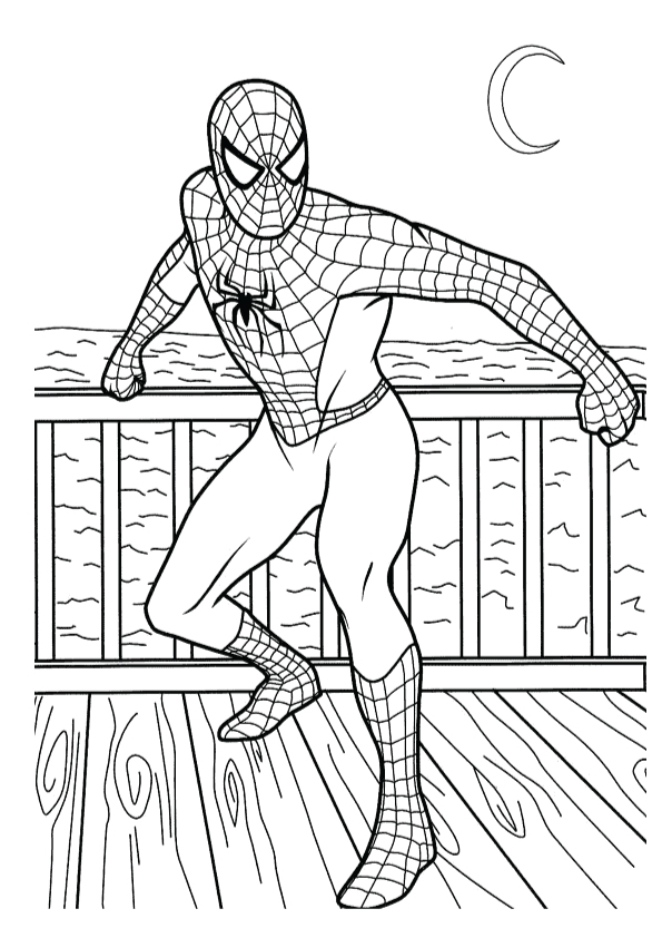 spider-man-ausmalbild-0161-q2