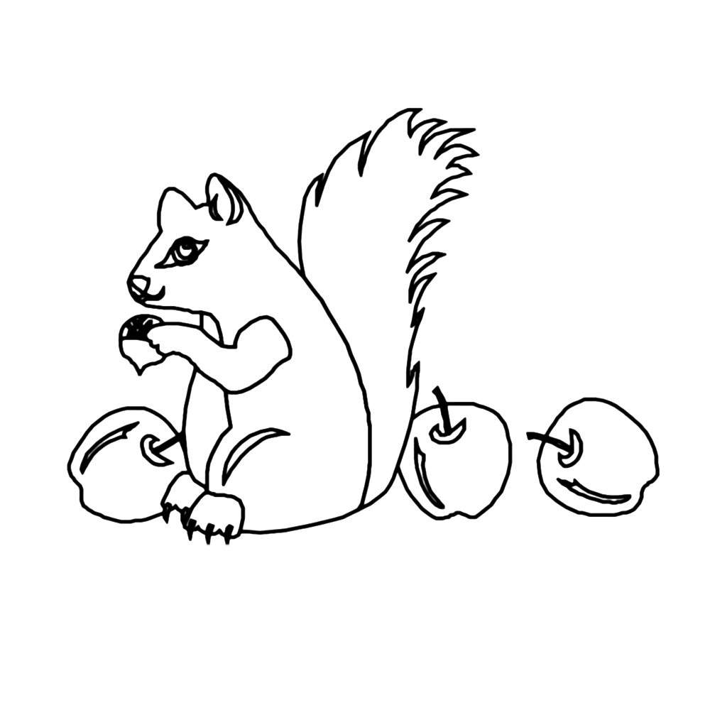 eichhoernchen-ausmalbild-0040-q4