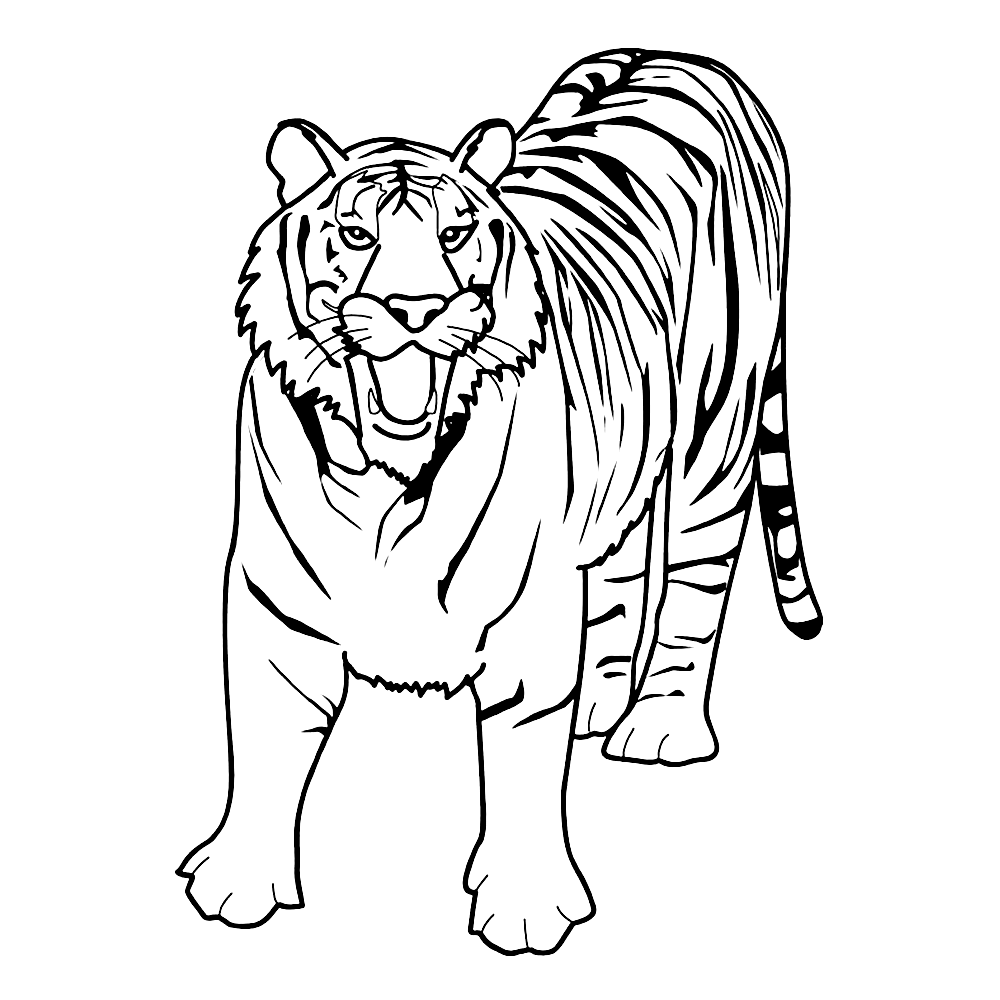 tiger-ausmalbild-0019-q4