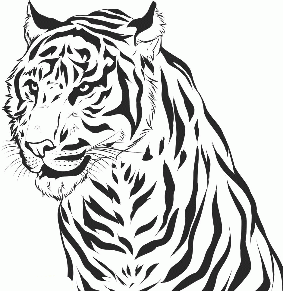 tiger-ausmalbild-0062-q1