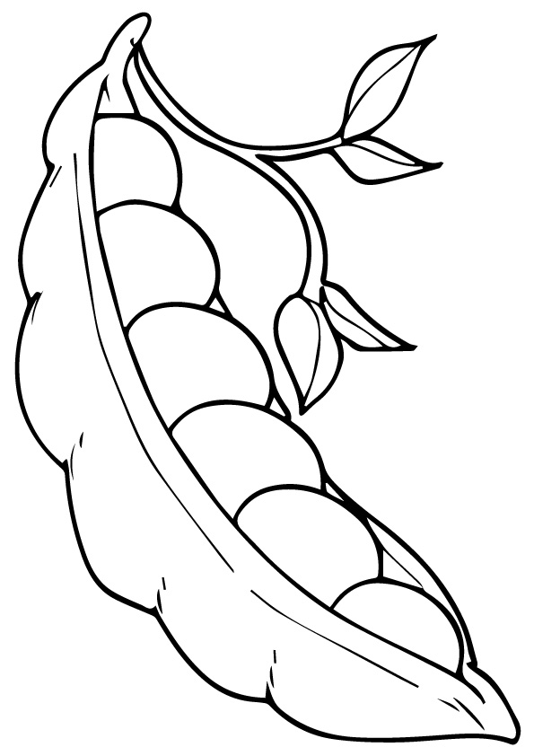 Ausmalbilder Gemüse: Bunter Spaß und gesunde Inspiration für Groß und Klein