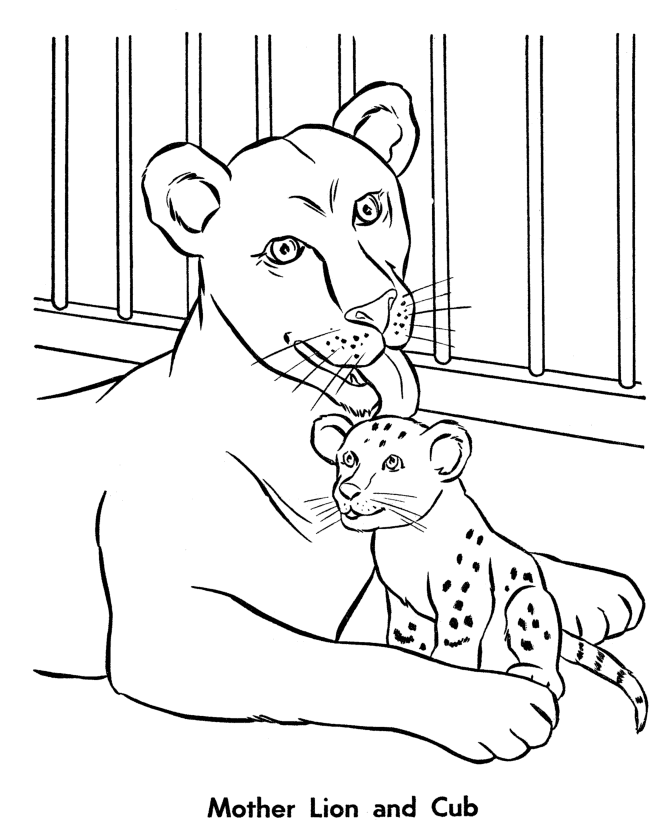 Zoo Ausmalbilder Images